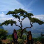 Priyanka Nair Instagram – Some memories never fade🖤
#favoritepicture#crazyfriends #friendship#moments#naturelove
🖤
♥️
🖤
♥️
#kerala#travel#travelphotography#travelpartners#hillstation#actor#girls#priyankanair#dhanyasanal#keralaturisam#palakkadu#trivandrum#malluwood #mollywood#bollywood#kolluwood#instatravel#insta#instatime#instaday#instagram Nelliyampathy, Palakkad