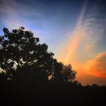 Priyanka Nair Instagram - Another beautiful evening sightseeing clicked ♥️ . . #iphone #iphoneclick #kerala #evening #godsowncountry #keralagram #keralaattraction #travelgram #mallugram #mallu #eveningsky #sky #redsky #sundayfunday