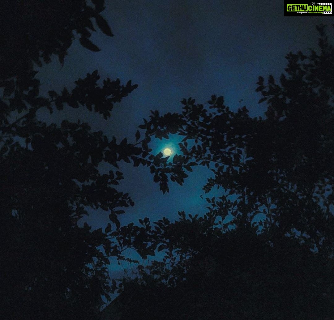 Priyanka Nair Instagram - Last #supermoon of the year is truly amazing! #superflowermoon#supermoon2020 Home