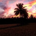 Priyanka Nair Instagram - ഒരു പാലക്കാടൻ സായാഹ്നം #throwback#eveningsky