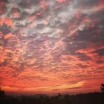 Priyanka Nair Instagram - Scattering of colours 🌞 Sunrise effect 🌅 📸from terrace . #sunrise #scatteringoflight #morningvibe#skywatcher #aprilsky Home