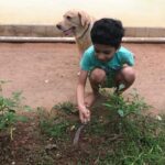 Priyanka Nair Instagram – വീട്ടിലെ അപ്പു എന്ന അവധിക്കാല കുട്ടികൃഷിക്കാരൻ ,സ്വന്തമായൊരു പച്ചക്കറിത്തോട്ടത്തിനായുള്ള കടുത്ത ശ്രമത്തിൽ 😃😃😍😍😍😍
#lockdowndays#appusquarentinedays#preparingseedbeds#sowingtheseeds#vegitablegarden#stayhome#staysafe#dosomethingyouloveandyoullneverworkadayinyourlife Home