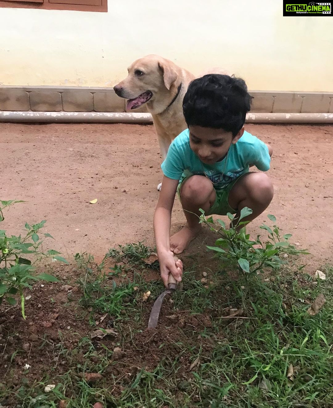 Priyanka Nair Instagram - വീട്ടിലെ അപ്പു എന്ന അവധിക്കാല കുട്ടികൃഷിക്കാരൻ ,സ്വന്തമായൊരു പച്ചക്കറിത്തോട്ടത്തിനായുള്ള കടുത്ത ശ്രമത്തിൽ 😃😃😍😍😍😍 #lockdowndays#appusquarentinedays#preparingseedbeds#sowingtheseeds#vegitablegarden#stayhome#staysafe#dosomethingyouloveandyoullneverworkadayinyourlife Home