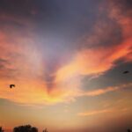 Priyanka Nair Instagram - Sunrise #view from terrace 😍 Home