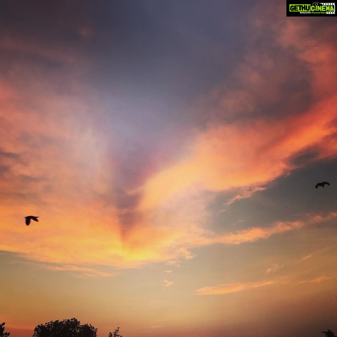 Priyanka Nair Instagram - Sunrise #view from terrace 😍 Home