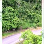 Punnagai Poo Gheetha Instagram - Jom Terbang 😜 The #LongestFlyingFox trail in #SouthEast 900m Trail