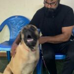 R. Sarathkumar Instagram - It has been nine months since this little fellow came into our lives, protective caring obedient naughty at times ,playful ,full of energy, helps take away dull moments in our day to day life. We have borne pain throughout this year and the solution seems to come our way soon, let us put the best foot forward and regain all lost grounds, efforts pay rewards