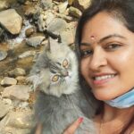 Rachitha Mahalakshmi Instagram - Small adventure..... 😇 My baby doll turns to be my travel partner..... 🐱🐾🐾 Travel before it gets locked again 🥺 : @siberian_whiskeygrey