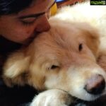 Rachitha Mahalakshmi Instagram - To d soul who just gave me Happiness..... The last kiss.... The last bye he ever said..... 🐶🐾🐾 My happy.... My happiness...... Is my angel now : December 13th 2021 d day he left me to remember! 🥺🥺🥺🥺🥺🥺🥺🥺🥺🥺🥺🥺🥺🥺 I couldn't come out of it....... once Only my footsteps was enough for him to come receive me nd give all d happiness... but Happy Happy Happy I shouted I couldn't c anything except his paw print in my heart for d rest of my life.... I just want his happy moments to be flourished.... My happy cannot go anywhere... He is always within me.... My only happiness.... 🐾🐾 Couldn't share anything beyond this..... 🥺🙏🙏