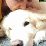 Rachitha Mahalakshmi Instagram – To d soul who just gave me Happiness….. 
The last kiss…. The last bye he ever said….. 🐶🐾🐾 My happy…. My happiness…… 
Is my angel now : 
December 13th 2021 d day he left me to remember! 
🥺🥺🥺🥺🥺🥺🥺🥺🥺🥺🥺🥺🥺🥺
I couldn’t come out of it……. 
once Only my footsteps was enough for him to come receive me nd give all d happiness… but Happy Happy Happy I shouted I couldn’t c anything except  his paw print in my heart for d rest of my life….
I just want his happy moments to be flourished…. My happy cannot go anywhere… He is always within me…. My only happiness…. 🐾🐾
Couldn’t share anything beyond this….. 🥺🙏🙏