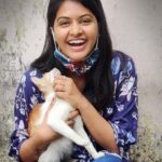 Rachitha Mahalakshmi Instagram - Time for Petting , cuddling, 🐈🐱🐾🐾😇😇😇😇😇 Namba yariyumae vidamatoom 😁 😉 #pawlove🐾