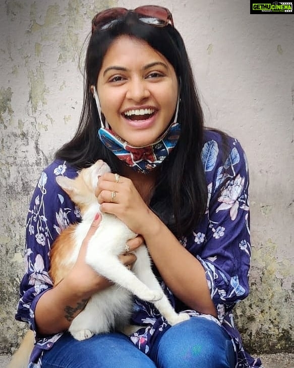Rachitha Mahalakshmi Instagram - Time for Petting , cuddling, ππ±πΎπΎπππππ Namba yariyumae vidamatoom π π #pawloveπΎ