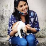 Rachitha Mahalakshmi Instagram – Time for Petting , cuddling, 🐈🐱🐾🐾😇😇😇😇😇
Namba yariyumae vidamatoom 😁 😉
#pawlove🐾