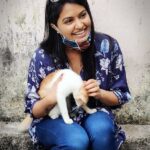 Rachitha Mahalakshmi Instagram - Time for Petting , cuddling, 🐈🐱🐾🐾😇😇😇😇😇 Namba yariyumae vidamatoom 😁 😉 #pawlove🐾