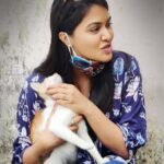 Rachitha Mahalakshmi Instagram - Time for Petting , cuddling, 🐈🐱🐾🐾😇😇😇😇😇 Namba yariyumae vidamatoom 😁 😉 #pawlove🐾