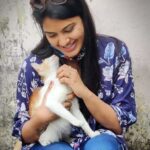 Rachitha Mahalakshmi Instagram - Time for Petting , cuddling, 🐈🐱🐾🐾😇😇😇😇😇 Namba yariyumae vidamatoom 😁 😉 #pawlove🐾