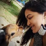 Rachitha Mahalakshmi Instagram - I love them or they love me 🤷🏻‍♀️😍😍😍😍😍😍😍😍😍😍😍😍😍😍😍 My mornings drenched with paw🐾🐾 😇😇😇😇😇😇😇
