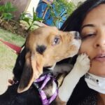 Rachitha Mahalakshmi Instagram - I love them or they love me 🤷🏻‍♀️😍😍😍😍😍😍😍😍😍😍😍😍😍😍😍 My mornings drenched with paw🐾🐾 😇😇😇😇😇😇😇
