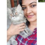 Rachitha Mahalakshmi Instagram - My Whiskey mornings 😻🐾🐾 😇😇😇😇😇