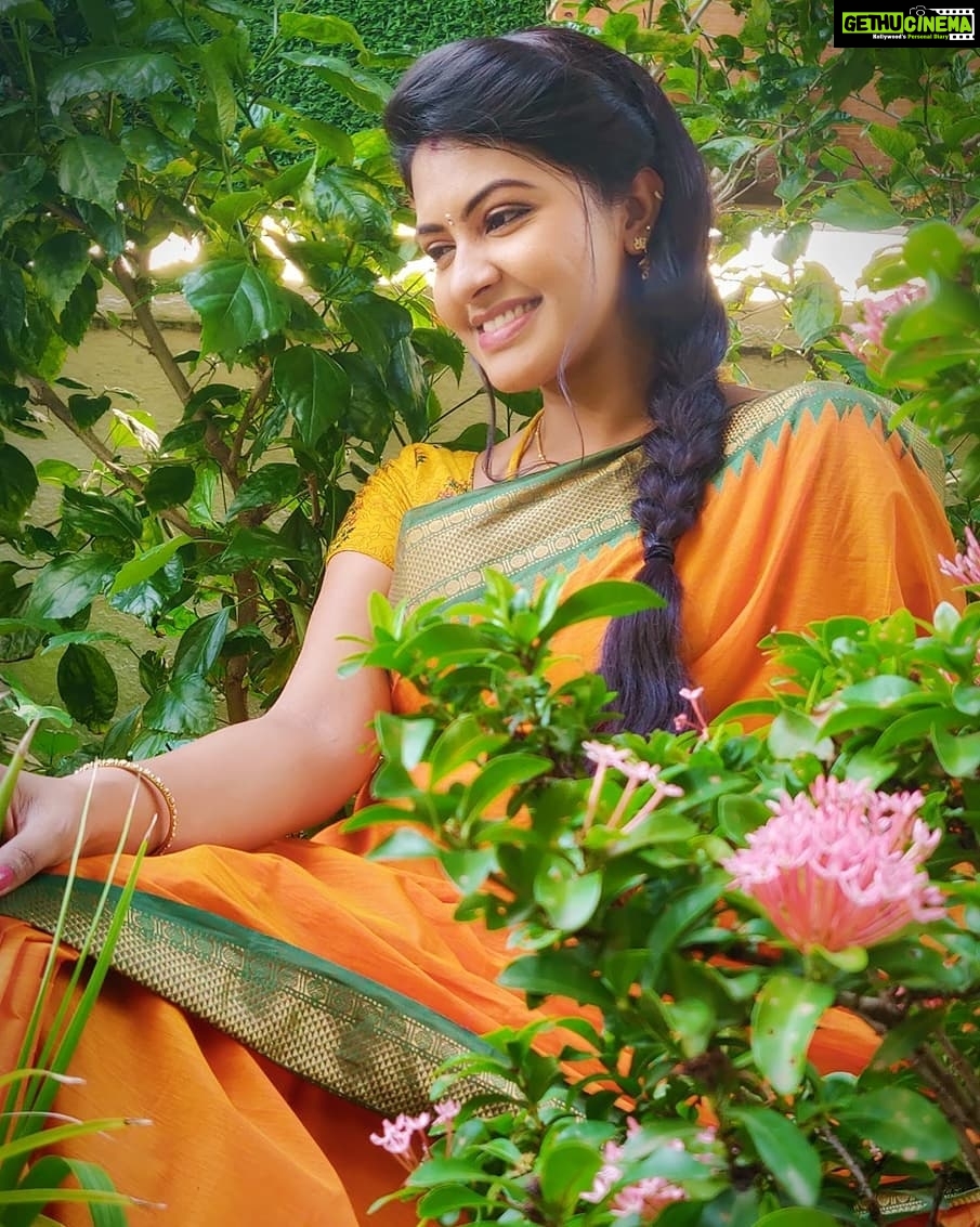 Rachitha Mahalakshmi Instagram - *Being classy is good.... But being classy with traditional looks is best I feel.....* ππππππ This look can never make me feel boaring ππ€·π»ββοΈ My all time most favourite look πππππ MAHA @ NINI π Maha evenings ππππ : Saree love @useeshopapp : Customised blouse @rasidhadesigner π : #supportwomenentrepreneursππΌπͺπ»