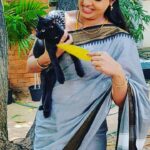 Rachitha Mahalakshmi Instagram - My morning dose of pampering 😍😍😍😍😍😍 Meet " Mr Pepper " 🐾 kuttan's friend 😅 ❤️❤️❤️❤️❤️❤️❤️ Saree love @useeshopapp 😇😇😇😇