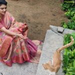 Rachitha Mahalakshmi Instagram – I heard time is precious so made sure to spend it with 🐈🐈🐈🐈🐈
Time spent with this kuttan is never wasted…. 😇😇😇
🐈🐱🐾🐾😍😍😍😍😍