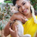 Rachitha Mahalakshmi Instagram - MAHA'S one nd only new friend 🐈 in her pugandha veedhu..... 😇😇😇 NINI 2.O Yenna tha nadakum nu parungae.... 🤷🏻‍♀️ Saree love @dhakksha_womens_clothing 🥰🥰🥰
