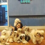 Rachitha Mahalakshmi Instagram – Well a little heaven on earth 🐶🐕🐾🐾🐾🐾🐾🐾
@twistytailsrestaurant 🐾🐾🐾🐾🐾
Just made my day 🥰🥰🥰🥰🥰🥰🥰🥰🥰🥰