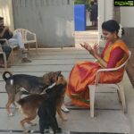 Rachitha Mahalakshmi Instagram - That pleasant feel I get wen they respond to ma cal 🥰🥰🥰🥰🥰🥰🥰🥰 Such a stress busters.... 🐶🐕🐾 These little ones can always turn my bad mood around just by wagging there tail.... 🐾 My shoot boredom buddies... 🐕🐶🐾🥰🥰🥰 #chittithalli 👈