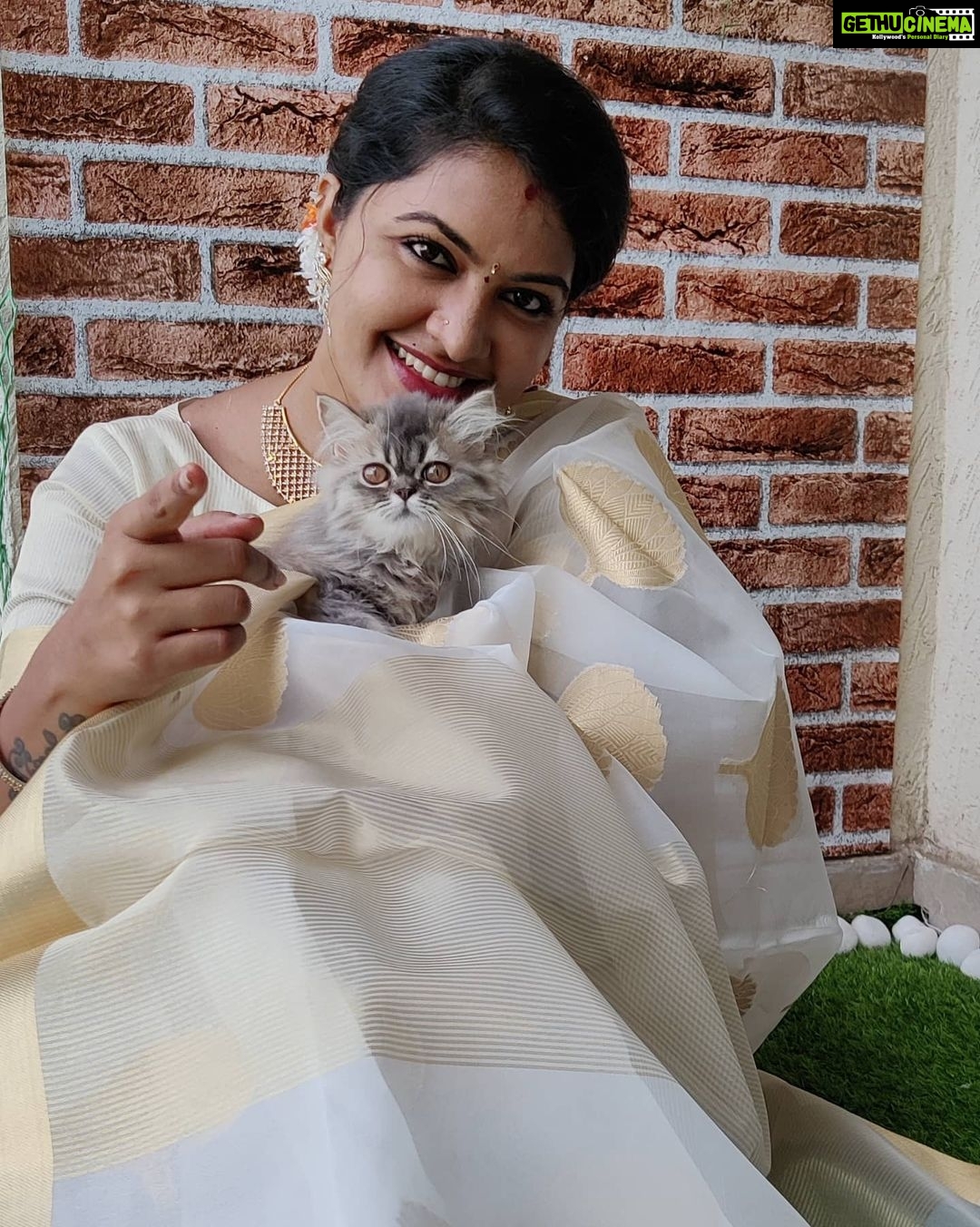Rachitha Mahalakshmi Instagram - Wen photobombing became a photoshoot....... 🤭😉 With my baby doll @siberian_whiskeygrey : Happy mornings.... 😇😇😇😇