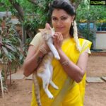 Rachitha Mahalakshmi Instagram - MAHA'S one nd only new friend 🐈 in her pugandha veedhu..... 😇😇😇 NINI 2.O Yenna tha nadakum nu parungae.... 🤷🏻‍♀️ Saree love @dhakksha_womens_clothing 🥰🥰🥰