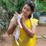 Rachitha Mahalakshmi Instagram - MAHA'S one nd only new friend 🐈 in her pugandha veedhu..... 😇😇😇 NINI 2.O Yenna tha nadakum nu parungae.... 🤷🏻‍♀️ Saree love @dhakksha_womens_clothing 🥰🥰🥰