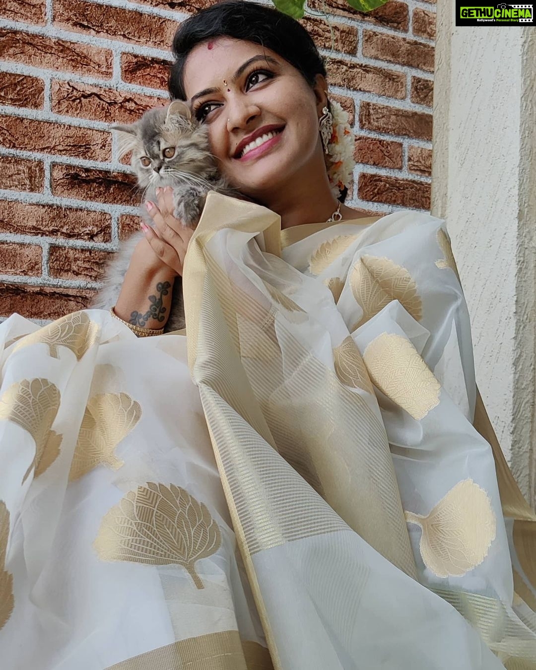 Rachitha Mahalakshmi Instagram - Wen photobombing became a photoshoot....... ðŸ¤ðŸ˜‰ With my baby doll @siberian_whiskeygrey : Happy mornings.... 😇😇😇😇