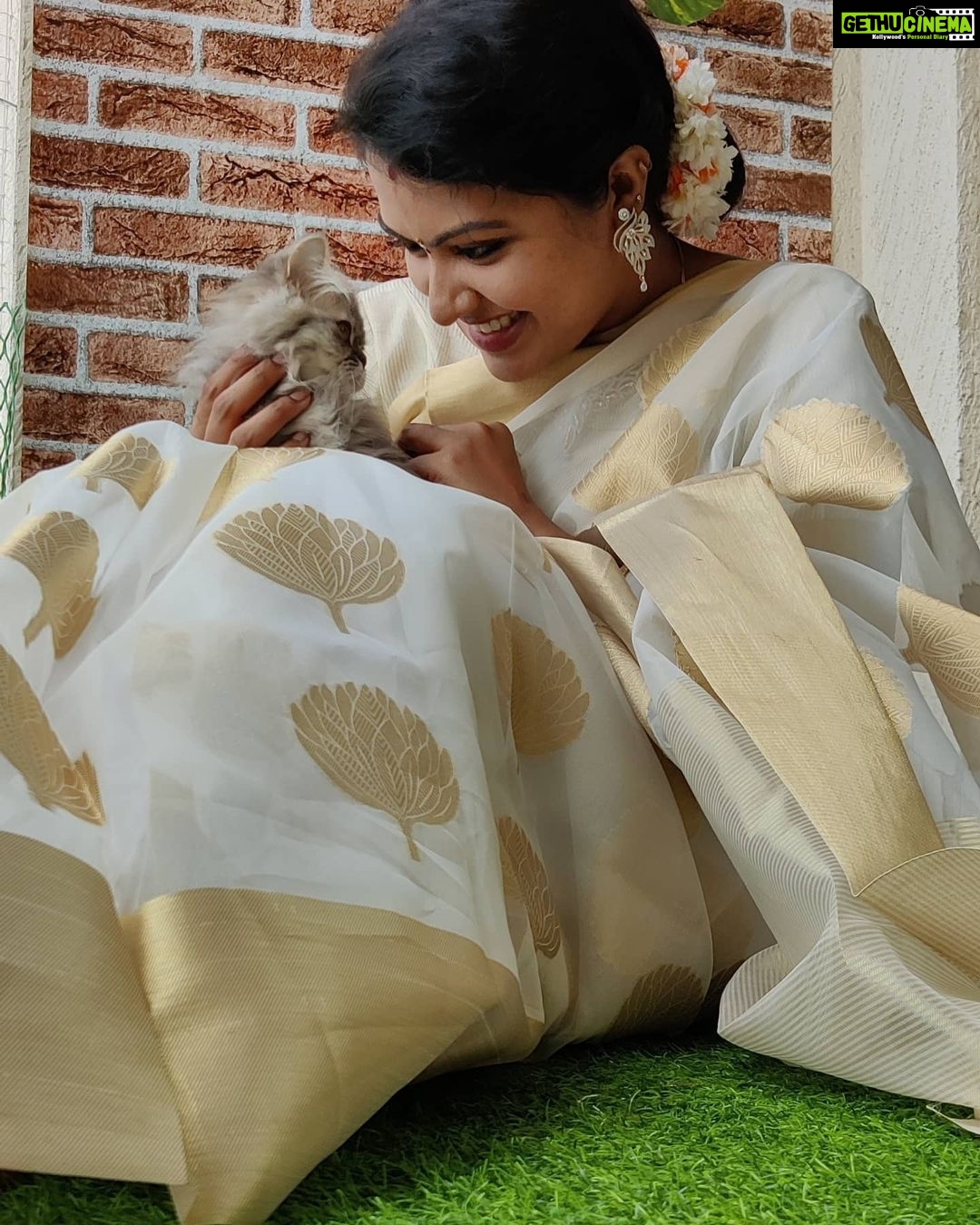 Rachitha Mahalakshmi Instagram - Wen photobombing became a photoshoot....... ðŸ¤ðŸ˜‰ With my baby doll @siberian_whiskeygrey : Happy mornings.... 😇😇😇😇