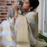 Rachitha Mahalakshmi Instagram - Wen photobombing became a photoshoot....... 🤭😉 With my baby doll @siberian_whiskeygrey : Happy mornings.... 😇😇😇😇