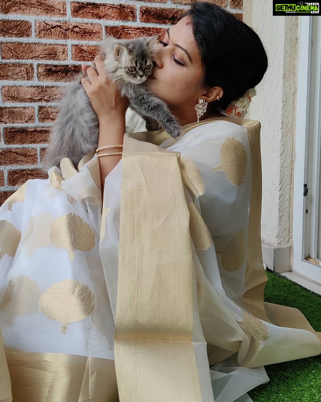 Rachitha Mahalakshmi Instagram - Wen photobombing became a photoshoot....... ðŸ¤ðŸ˜‰ With my baby doll @siberian_whiskeygrey : Happy mornings.... 😇😇😇😇