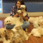 Rachitha Mahalakshmi Instagram - Well a little heaven on earth 🐶🐕🐾🐾🐾🐾🐾🐾 @twistytailsrestaurant 🐾🐾🐾🐾🐾 Just made my day 🥰🥰🥰🥰🥰🥰🥰🥰🥰🥰