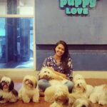 Rachitha Mahalakshmi Instagram - Well a little heaven on earth 🐶🐕🐾🐾🐾🐾🐾🐾 @twistytailsrestaurant 🐾🐾🐾🐾🐾 Just made my day 🥰🥰🥰🥰🥰🥰🥰🥰🥰🥰