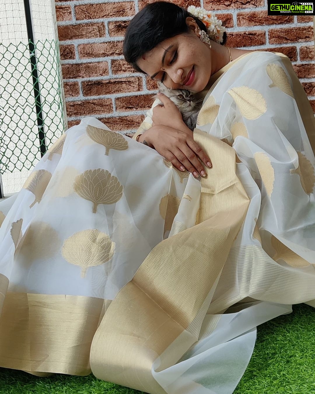 Rachitha Mahalakshmi Instagram - Wen photobombing became a photoshoot....... ðŸ¤ðŸ˜‰ With my baby doll @siberian_whiskeygrey : Happy mornings.... 😇😇😇😇