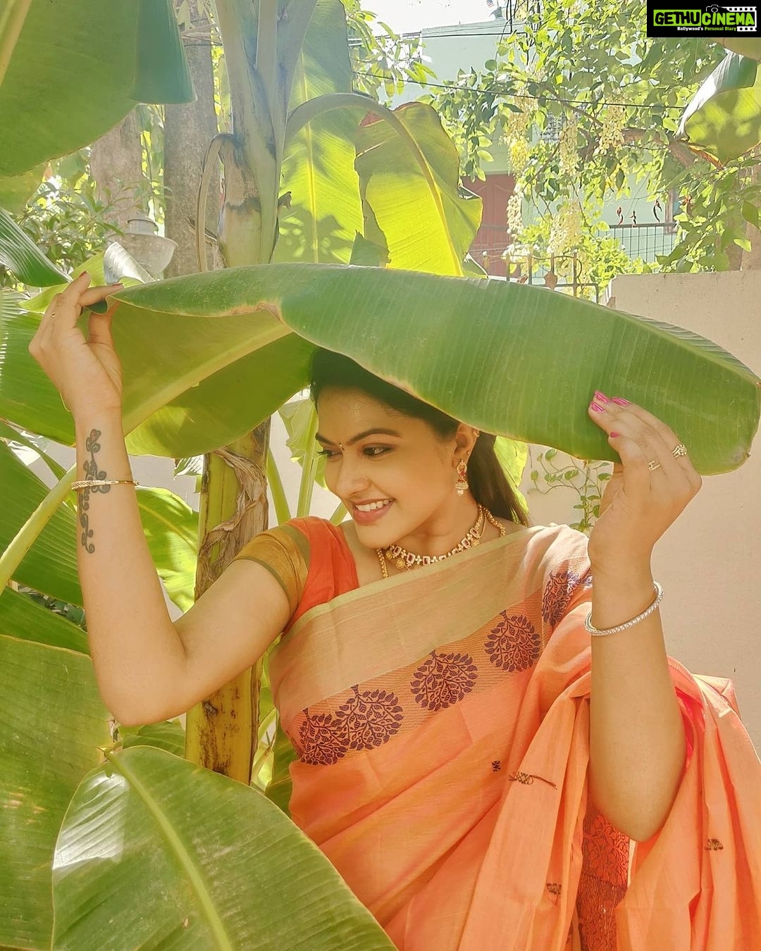 Rachitha Mahalakshmi Instagram - My al time fav pose with a banana leaf 🍃🙊🥰🥰🥰🥰🥰🥰🥰😁 Last set of pic took at NP shoot 🙆🏼♀️ Lovely Chettinad sarees 🥰🥰🥰🥰🥰 Saree love @digambara_collections 👈👈 who was constant sponsorer for NP 😇🙌 Jewelry @tsquarecollection.in 😇😇😇 #supportwomenentrepreneurs🙋🏼💪🏻 #supportsmallbusiness 😇😇😇😇😇