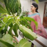 Rachitha Mahalakshmi Instagram - My al time fav pose with a banana leaf 🍃🙊🥰🥰🥰🥰🥰🥰🥰😁 Last set of pic took at NP shoot 🙆🏼‍♀️ Lovely Chettinad sarees 🥰🥰🥰🥰🥰 Saree love @digambara_collections 👈👈 who was constant sponsorer for NP 😇🙌 Jewelry @tsquarecollection.in 😇😇😇 #supportwomenentrepreneurs🙋🏼💪🏻 #supportsmallbusiness 😇😇😇😇😇