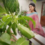 Rachitha Mahalakshmi Instagram - My al time fav pose with a banana leaf 🍃🙊🥰🥰🥰🥰🥰🥰🥰😁 Last set of pic took at NP shoot 🙆🏼‍♀️ Lovely Chettinad sarees 🥰🥰🥰🥰🥰 Saree love @digambara_collections 👈👈 who was constant sponsorer for NP 😇🙌 Jewelry @tsquarecollection.in 😇😇😇 #supportwomenentrepreneurs🙋🏼💪🏻 #supportsmallbusiness 😇😇😇😇😇