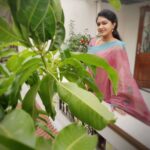 Rachitha Mahalakshmi Instagram – My al time fav pose with a banana leaf 🍃🙊🥰🥰🥰🥰🥰🥰🥰😁
Last set of pic took at NP shoot 🙆🏼‍♀️
Lovely Chettinad sarees 🥰🥰🥰🥰🥰
Saree love @digambara_collections 👈👈 who was constant sponsorer for NP 😇🙌
Jewelry @tsquarecollection.in 😇😇😇
#supportwomenentrepreneurs🙋🏼💪🏻
#supportsmallbusiness 😇😇😇😇😇