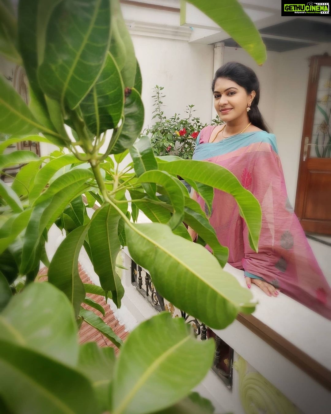 Rachitha Mahalakshmi Instagram - My al time fav pose with a banana leaf πππ₯°π₯°π₯°π₯°π₯°π₯°π₯°π Last set of pic took at NP shoot ππΌββοΈ Lovely Chettinad sarees π₯°π₯°π₯°π₯°π₯° Saree love @digambara_collections ππ who was constant sponsorer for NP ππ Jewelry @tsquarecollection.in πππ #supportwomenentrepreneursππΌπͺπ» #supportsmallbusiness πππππ