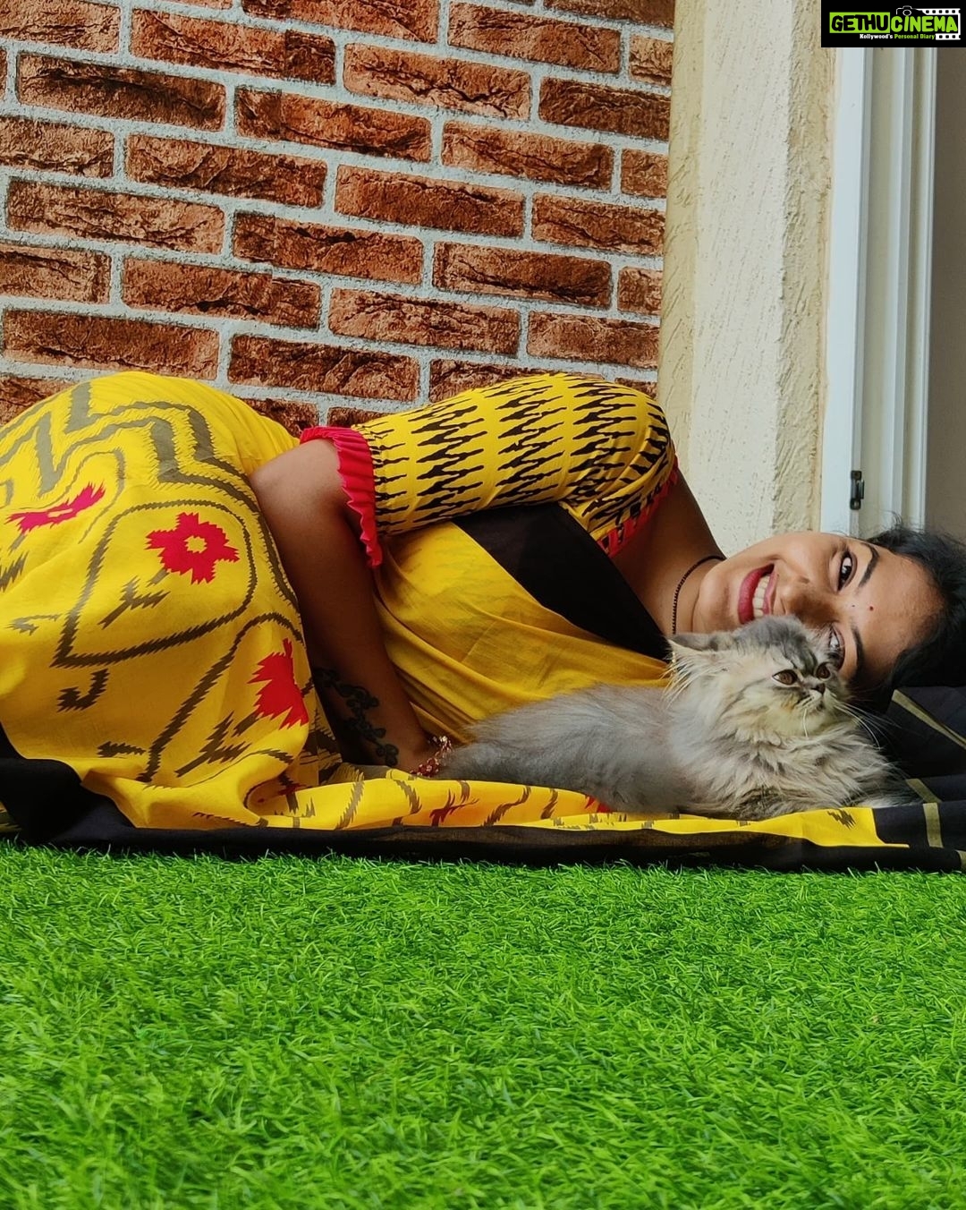 Rachitha Mahalakshmi Instagram - Look who photobombs me while clicking pics..... 😻🐾🐾 🌧️ Rainy mornings 🌧️🌧️🌧️🌧️ : @siberian_whiskeygrey : #sareelove @branding_with_shakthi : #supportwomenentrepreneurs🙋🏼💪🏻
