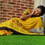 Rachitha Mahalakshmi Instagram - Look who photobombs me while clicking pics..... 😻🐾🐾 🌧️ Rainy mornings 🌧️🌧️🌧️🌧️ : @siberian_whiskeygrey : #sareelove @branding_with_shakthi : #supportwomenentrepreneurs🙋🏼💪🏻