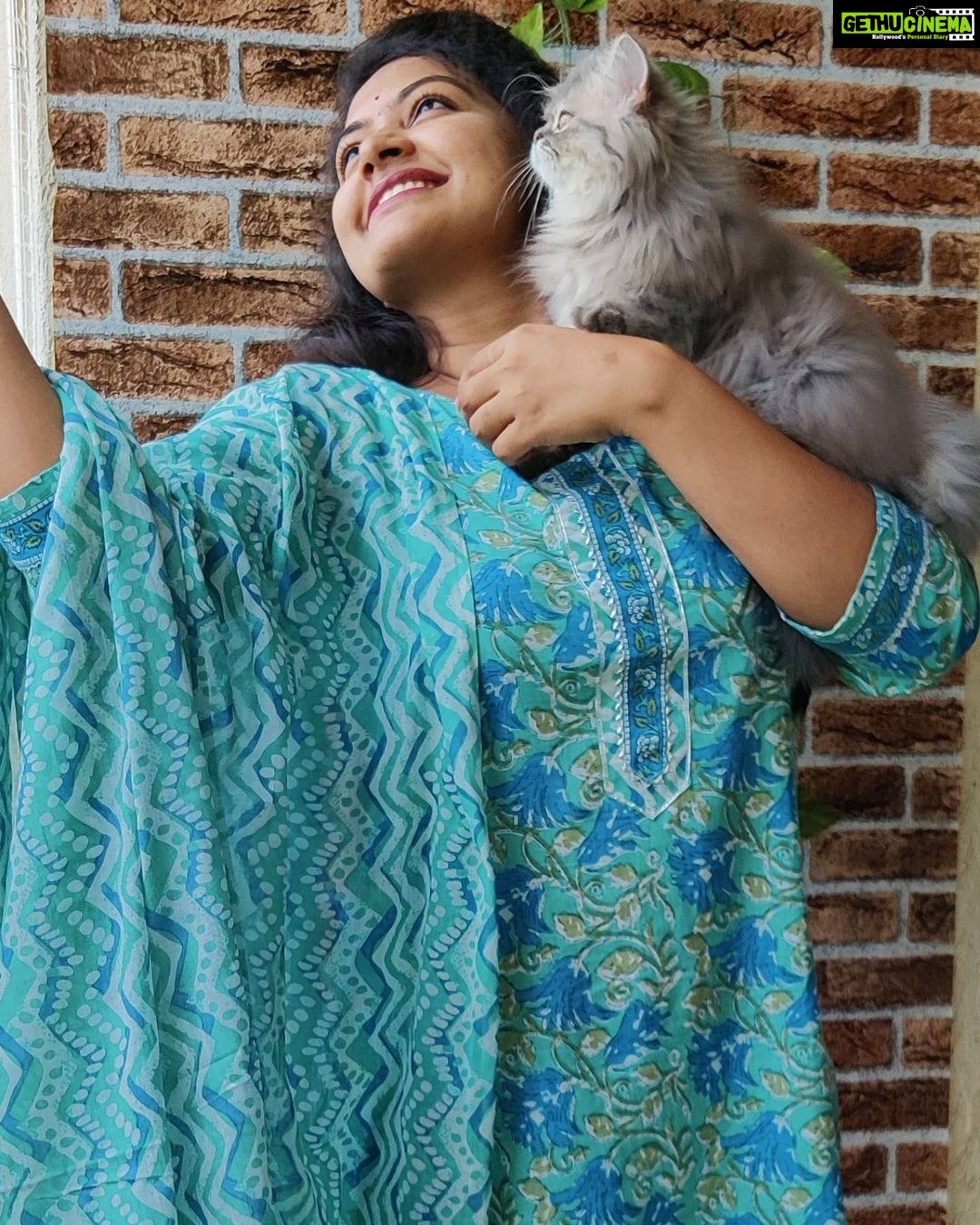Rachitha Mahalakshmi Instagram - With my Whiskey on the rocks 😹 : @siberian_whiskeygrey 😻🐾🐾 : Outfit @branding_with_shakthi : https://www.instagram.com/branding_with_shakthi/ : https://www.facebook.com/brandingwithshakthi/ : #supportwomenentrepreneurs🙋🏼💪🏻