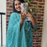 Rachitha Mahalakshmi Instagram - With my Whiskey on the rocks 😹 : @siberian_whiskeygrey 😻🐾🐾 : Outfit @branding_with_shakthi : https://www.instagram.com/branding_with_shakthi/ : https://www.facebook.com/brandingwithshakthi/ : #supportwomenentrepreneurs🙋🏼💪🏻
