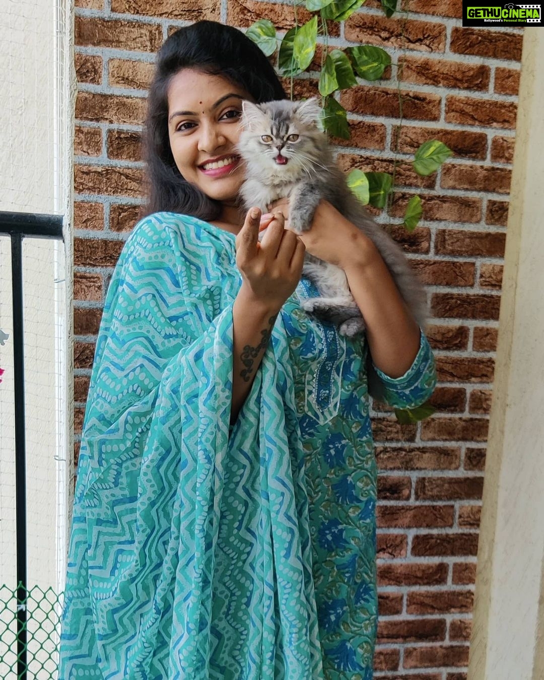 Rachitha Mahalakshmi Instagram - With my Whiskey on the rocks 😹 : @siberian_whiskeygrey 😻🐾🐾 : Outfit @branding_with_shakthi : https://www.instagram.com/branding_with_shakthi/ : https://www.facebook.com/brandingwithshakthi/ : #supportwomenentrepreneurs🙋🏼💪🏻
