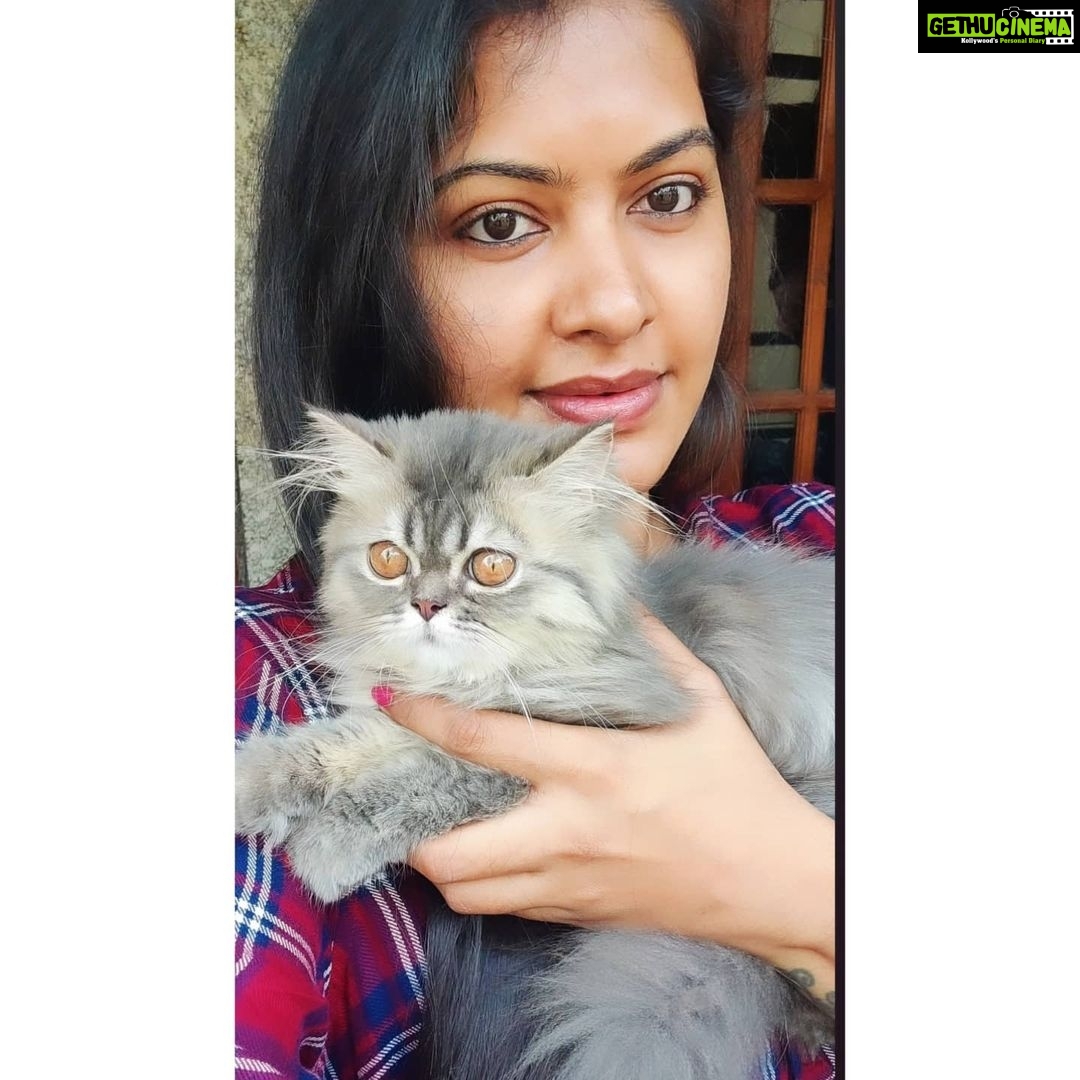 Rachitha Mahalakshmi Instagram - My Whiskey mornings 😻🐾🐾 😇😇😇😇😇